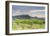 Vineyards near to Todi, Umbria, Italy, Europe-Julian Elliott-Framed Photographic Print