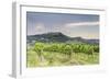 Vineyards near to Todi, Umbria, Italy, Europe-Julian Elliott-Framed Photographic Print