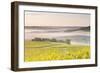 Vineyards Near to Vezelay During a Misty Dawn, Burgundy, France, Europe-Julian Elliott-Framed Photographic Print