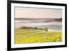 Vineyards Near to Vezelay During a Misty Dawn, Burgundy, France, Europe-Julian Elliott-Framed Photographic Print