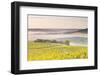 Vineyards Near to Vezelay During a Misty Dawn, Burgundy, France, Europe-Julian Elliott-Framed Photographic Print