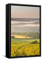 Vineyards Near to Vezelay During a Misty Dawn, Yonne, Burgundy, France, Europe-Julian Elliott-Framed Stretched Canvas