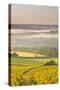 Vineyards Near to Vezelay During a Misty Dawn, Yonne, Burgundy, France, Europe-Julian Elliott-Stretched Canvas