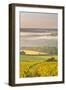 Vineyards Near to Vezelay During a Misty Dawn, Yonne, Burgundy, France, Europe-Julian Elliott-Framed Photographic Print