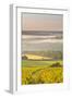 Vineyards Near to Vezelay During a Misty Dawn, Yonne, Burgundy, France, Europe-Julian Elliott-Framed Photographic Print