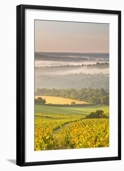 Vineyards Near to Vezelay During a Misty Dawn, Yonne, Burgundy, France, Europe-Julian Elliott-Framed Photographic Print