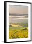 Vineyards Near to Vezelay During a Misty Dawn, Yonne, Burgundy, France, Europe-Julian Elliott-Framed Photographic Print