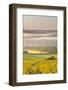 Vineyards Near to Vezelay During a Misty Dawn, Yonne, Burgundy, France, Europe-Julian Elliott-Framed Photographic Print