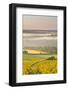 Vineyards Near to Vezelay During a Misty Dawn, Yonne, Burgundy, France, Europe-Julian Elliott-Framed Photographic Print