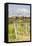 Vineyards Near to Villa a Sesta, Chianti, Tuscany, Italy, Europe-Julian Elliott-Framed Stretched Canvas