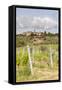 Vineyards Near to Villa a Sesta, Chianti, Tuscany, Italy, Europe-Julian Elliott-Framed Stretched Canvas