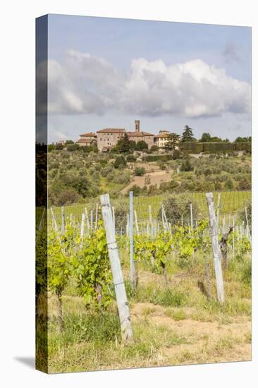 Vineyards Near to Villa a Sesta, Chianti, Tuscany, Italy, Europe-Julian Elliott-Stretched Canvas