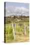 Vineyards Near to Villa a Sesta, Chianti, Tuscany, Italy, Europe-Julian Elliott-Stretched Canvas