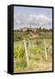 Vineyards Near to Villa a Sesta, Chianti, Tuscany, Italy, Europe-Julian Elliott-Framed Stretched Canvas