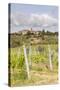 Vineyards Near to Villa a Sesta, Chianti, Tuscany, Italy, Europe-Julian Elliott-Stretched Canvas