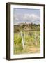 Vineyards Near to Villa a Sesta, Chianti, Tuscany, Italy, Europe-Julian Elliott-Framed Photographic Print