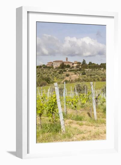 Vineyards Near to Villa a Sesta, Chianti, Tuscany, Italy, Europe-Julian Elliott-Framed Photographic Print