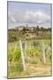 Vineyards Near to Villa a Sesta, Chianti, Tuscany, Italy, Europe-Julian Elliott-Mounted Photographic Print