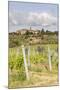 Vineyards Near to Villa a Sesta, Chianti, Tuscany, Italy, Europe-Julian Elliott-Mounted Photographic Print