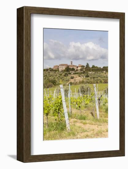 Vineyards Near to Villa a Sesta, Chianti, Tuscany, Italy, Europe-Julian Elliott-Framed Photographic Print