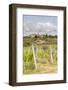 Vineyards Near to Villa a Sesta, Chianti, Tuscany, Italy, Europe-Julian Elliott-Framed Photographic Print