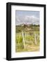 Vineyards Near to Villa a Sesta, Chianti, Tuscany, Italy, Europe-Julian Elliott-Framed Photographic Print