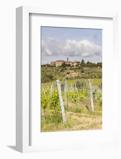 Vineyards Near to Villa a Sesta, Chianti, Tuscany, Italy, Europe-Julian Elliott-Framed Photographic Print