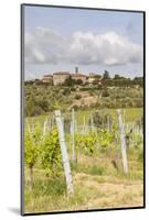 Vineyards Near to Villa a Sesta, Chianti, Tuscany, Italy, Europe-Julian Elliott-Mounted Photographic Print