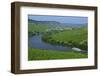 Vineyards near Trittenheim, Moselle Valley, Rhineland-Palatinate, Germany, Europe-Hans-Peter Merten-Framed Photographic Print