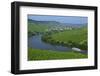 Vineyards near Trittenheim, Moselle Valley, Rhineland-Palatinate, Germany, Europe-Hans-Peter Merten-Framed Photographic Print