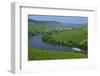 Vineyards near Trittenheim, Moselle Valley, Rhineland-Palatinate, Germany, Europe-Hans-Peter Merten-Framed Photographic Print