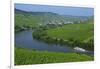 Vineyards near Trittenheim, Moselle Valley, Rhineland-Palatinate, Germany, Europe-Hans-Peter Merten-Framed Photographic Print