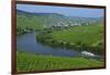 Vineyards near Trittenheim, Moselle Valley, Rhineland-Palatinate, Germany, Europe-Hans-Peter Merten-Framed Photographic Print