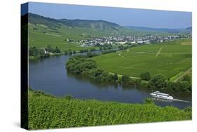 Vineyards near Trittenheim, Moselle Valley, Rhineland-Palatinate, Germany, Europe-Hans-Peter Merten-Stretched Canvas