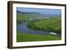 Vineyards near Trittenheim, Moselle Valley, Rhineland-Palatinate, Germany, Europe-Hans-Peter Merten-Framed Photographic Print