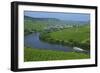 Vineyards near Trittenheim, Moselle Valley, Rhineland-Palatinate, Germany, Europe-Hans-Peter Merten-Framed Photographic Print