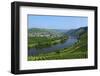 Vineyards near Trittenheim, Moselle Valley, Rhineland-Palatinate, Germany, Europe-Hans-Peter Merten-Framed Photographic Print