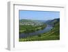 Vineyards near Trittenheim, Moselle Valley, Rhineland-Palatinate, Germany, Europe-Hans-Peter Merten-Framed Photographic Print