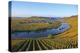 Vineyards near Trittenheim, Moselle Valley, Rhineland-Palatinate, Germany, Europe-Hans-Peter Merten-Stretched Canvas