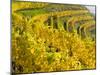 Vineyards Near Village Spitz in Wachau, Austria-Martin Zwick-Mounted Photographic Print