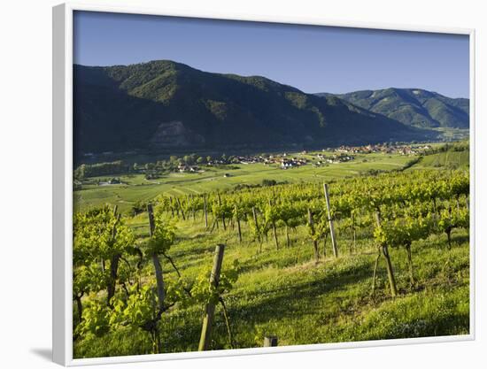 Vineyards Near Wšsendorf, Wachau, Lower Austria, Austria-Rainer Mirau-Framed Photographic Print