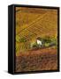 Vineyards, Nr Alba, Langhe, Piedmont (or Piemonte or Piedmonte), Italy-Peter Adams-Framed Stretched Canvas