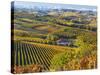 Vineyards, Nr Alba, Langhe, Piedmont (or Piemonte or Piedmonte), Italy-Peter Adams-Stretched Canvas