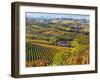 Vineyards, Nr Alba, Langhe, Piedmont (or Piemonte or Piedmonte), Italy-Peter Adams-Framed Photographic Print