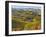 Vineyards, Nr Alba, Langhe, Piedmont (or Piemonte or Piedmonte), Italy-Peter Adams-Framed Photographic Print