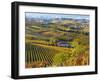 Vineyards, Nr Alba, Langhe, Piedmont (or Piemonte or Piedmonte), Italy-Peter Adams-Framed Photographic Print