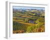 Vineyards, Nr Alba, Langhe, Piedmont (or Piemonte or Piedmonte), Italy-Peter Adams-Framed Photographic Print