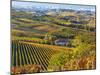 Vineyards, Nr Alba, Langhe, Piedmont (or Piemonte or Piedmonte), Italy-Peter Adams-Mounted Photographic Print