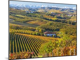 Vineyards, Nr Alba, Langhe, Piedmont (or Piemonte or Piedmonte), Italy-Peter Adams-Mounted Photographic Print