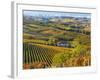 Vineyards, Nr Alba, Langhe, Piedmont (or Piemonte or Piedmonte), Italy-Peter Adams-Framed Photographic Print